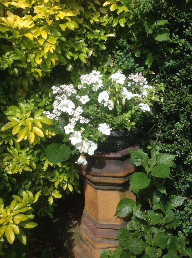 Appartamento The Garden Flat Crieff Esterno foto