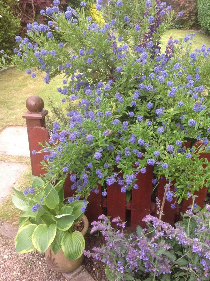 Appartamento The Garden Flat Crieff Esterno foto