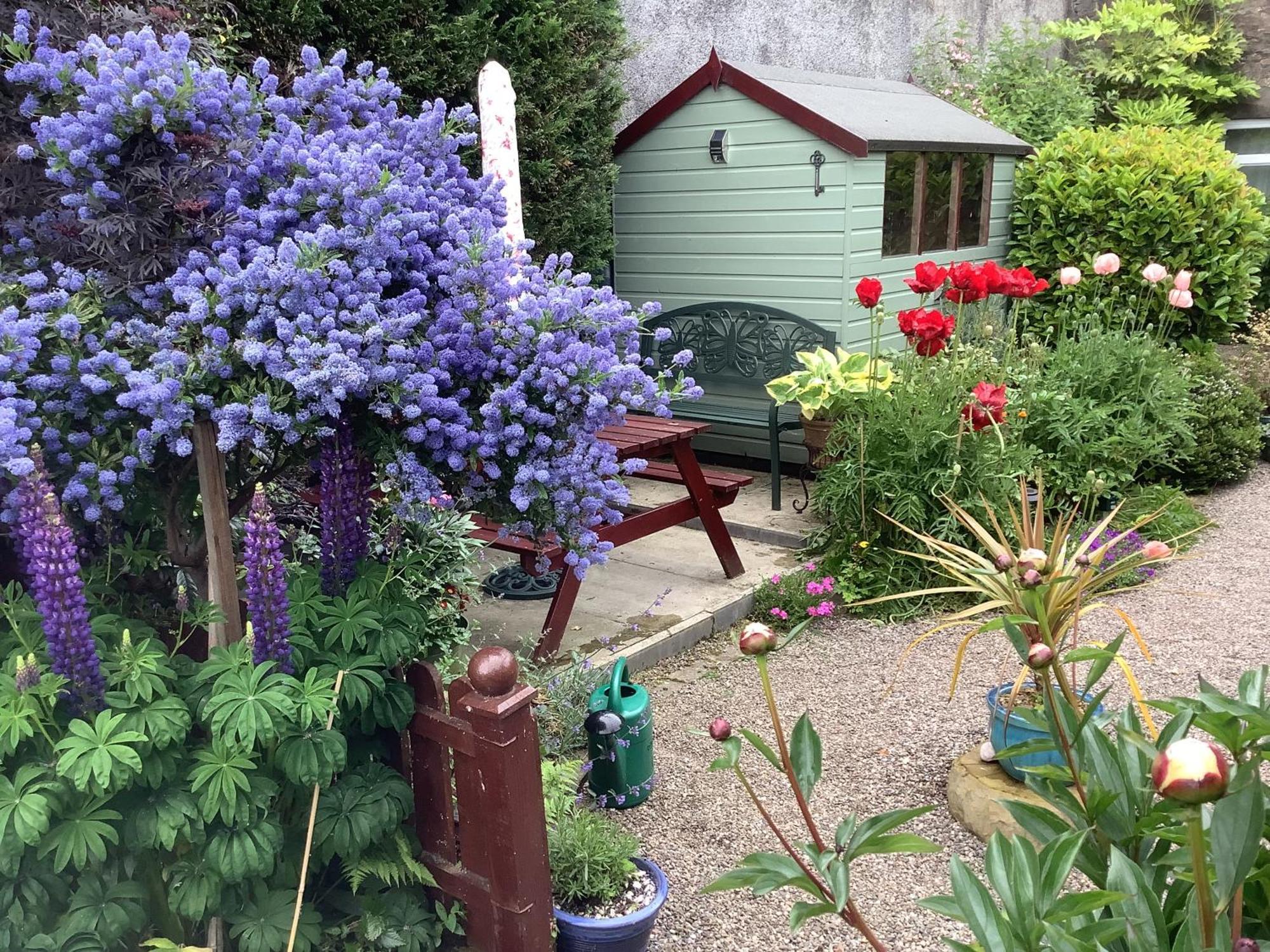 Appartamento The Garden Flat Crieff Esterno foto